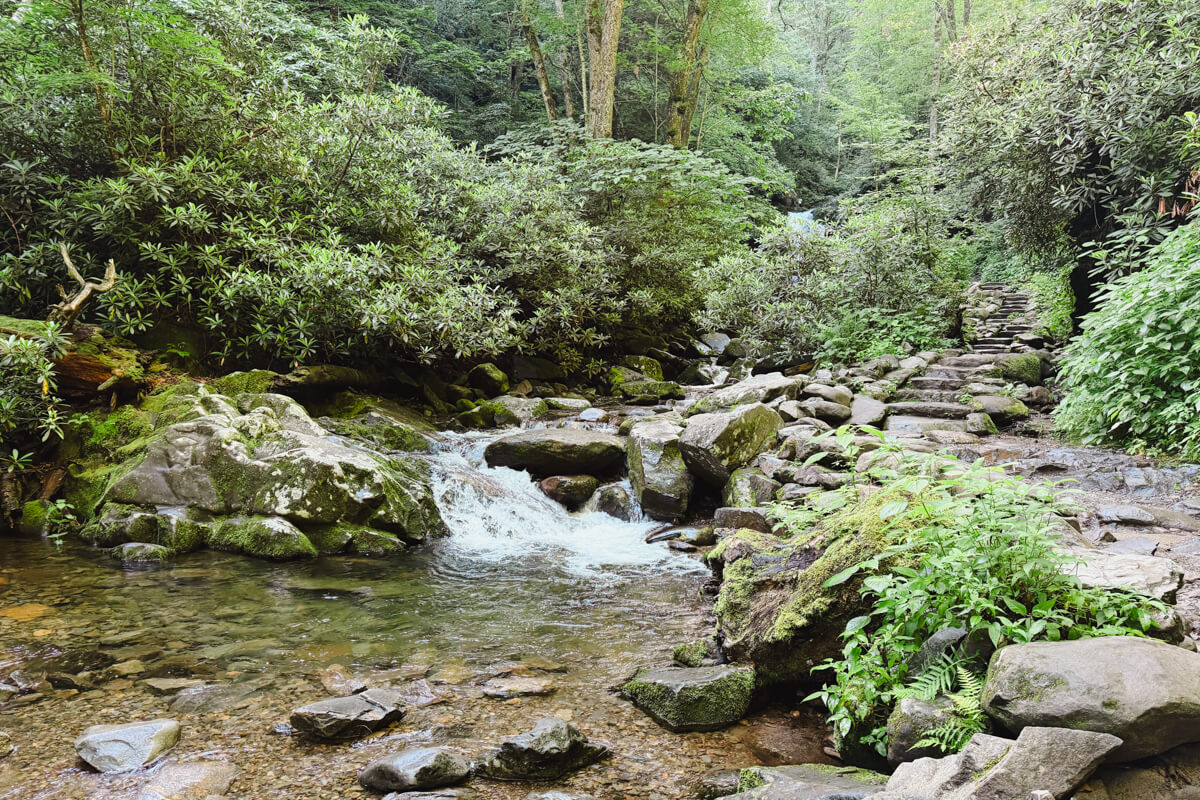 Hikers on the rocky trail to Grotto Falls